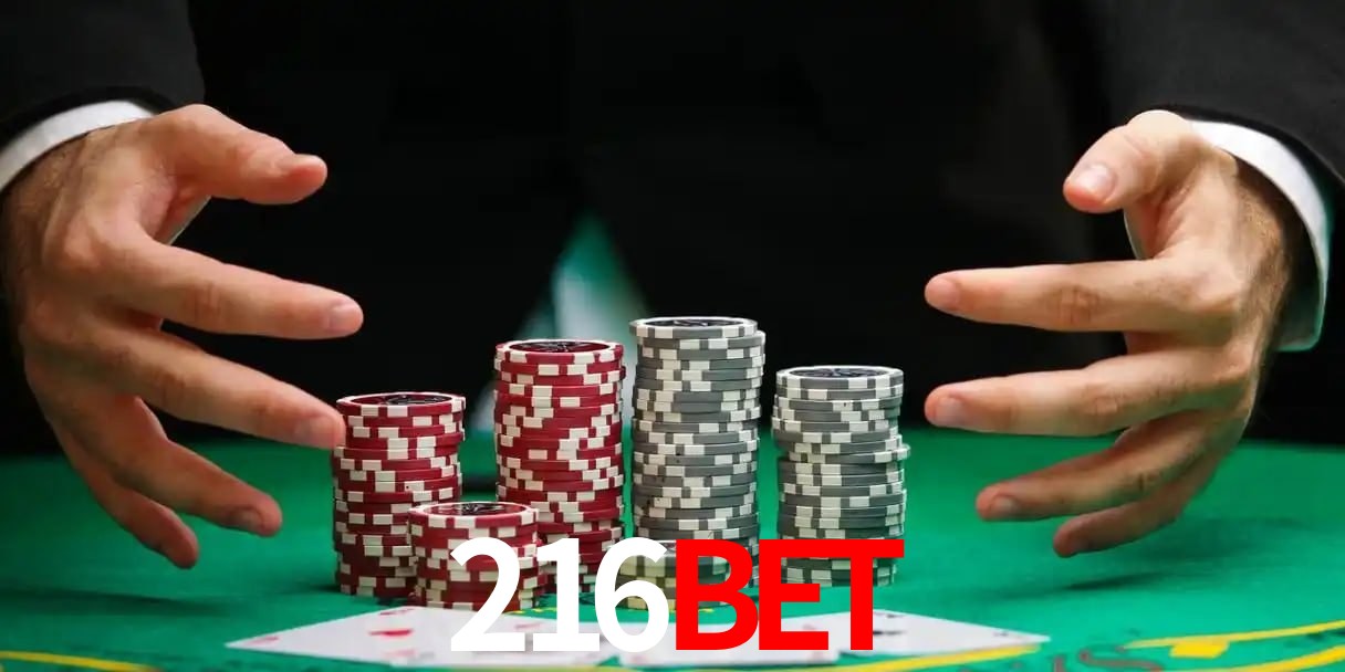 cassino 216bet